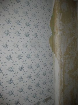 removing wallpaper